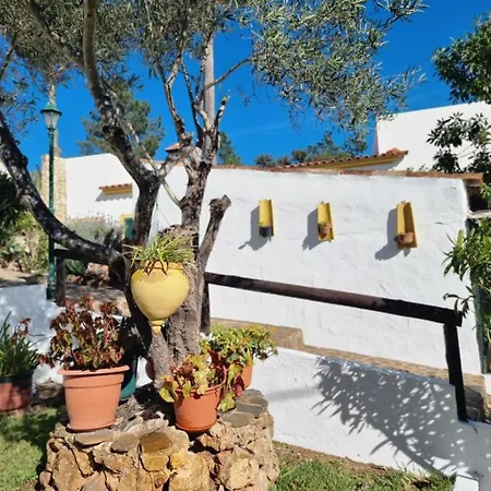 ロッジ Casa Da Mae Salir
